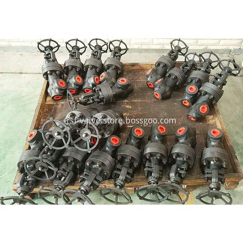Forged Steel 90 Degree Angle Globe Valve
